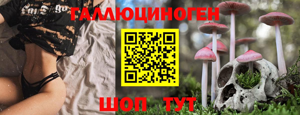 Псилоцибиновые грибы мухоморы  Псилоцибиновые грибы мухоморы  Минусинск  Вход с VPN 
